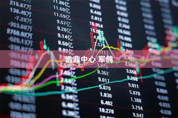 浩鼎中心 军鸽