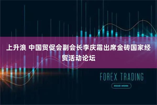 上升浪 中国贸促会副会长李庆霜出席金砖国家经贸活动论坛